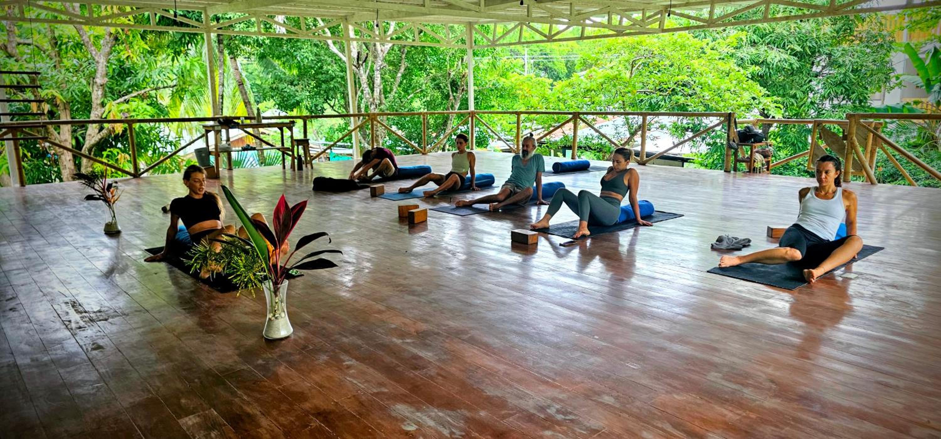 Don Jon's Surf and Yoga Lodge