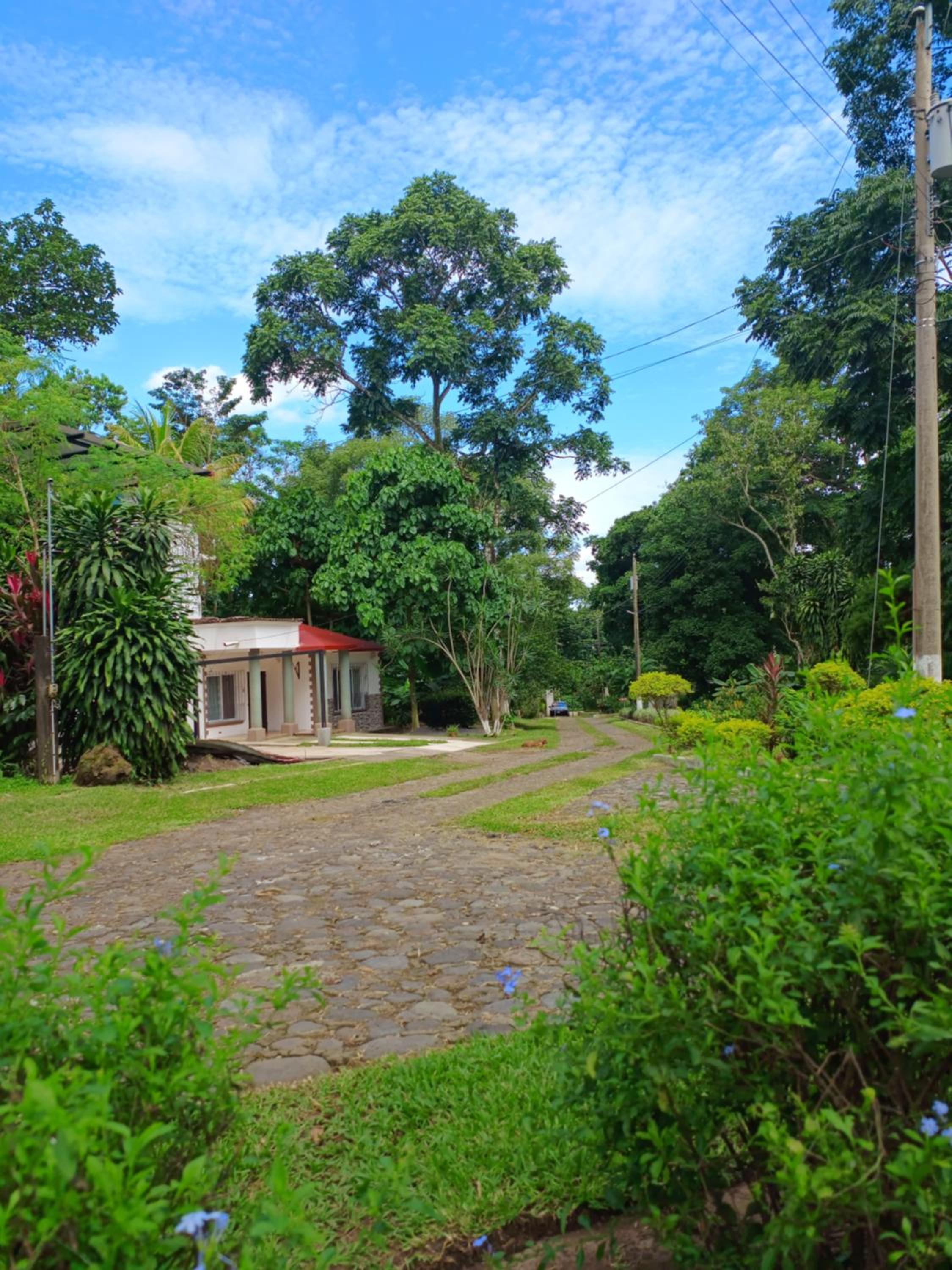 Melany's House's view 5