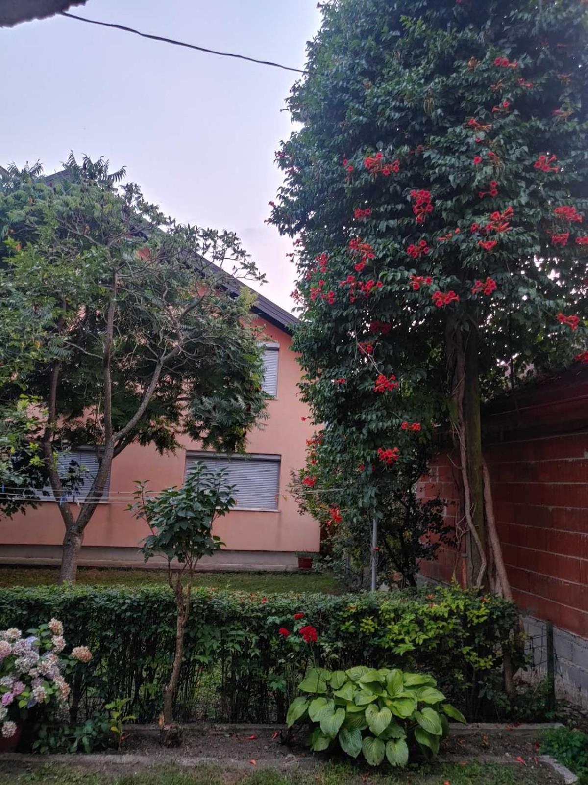 Apartman Kulenović
