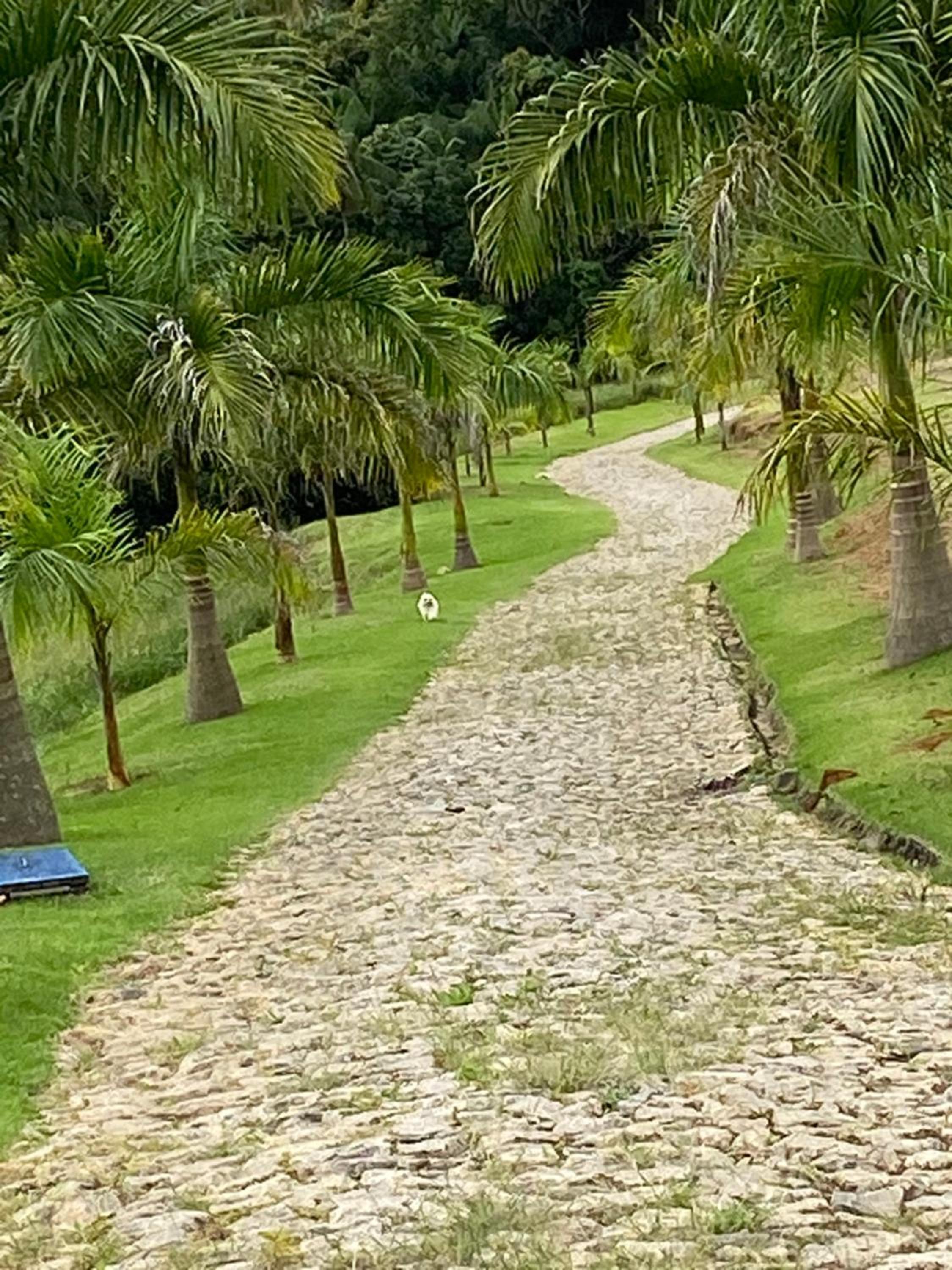 Espaço da Reserva