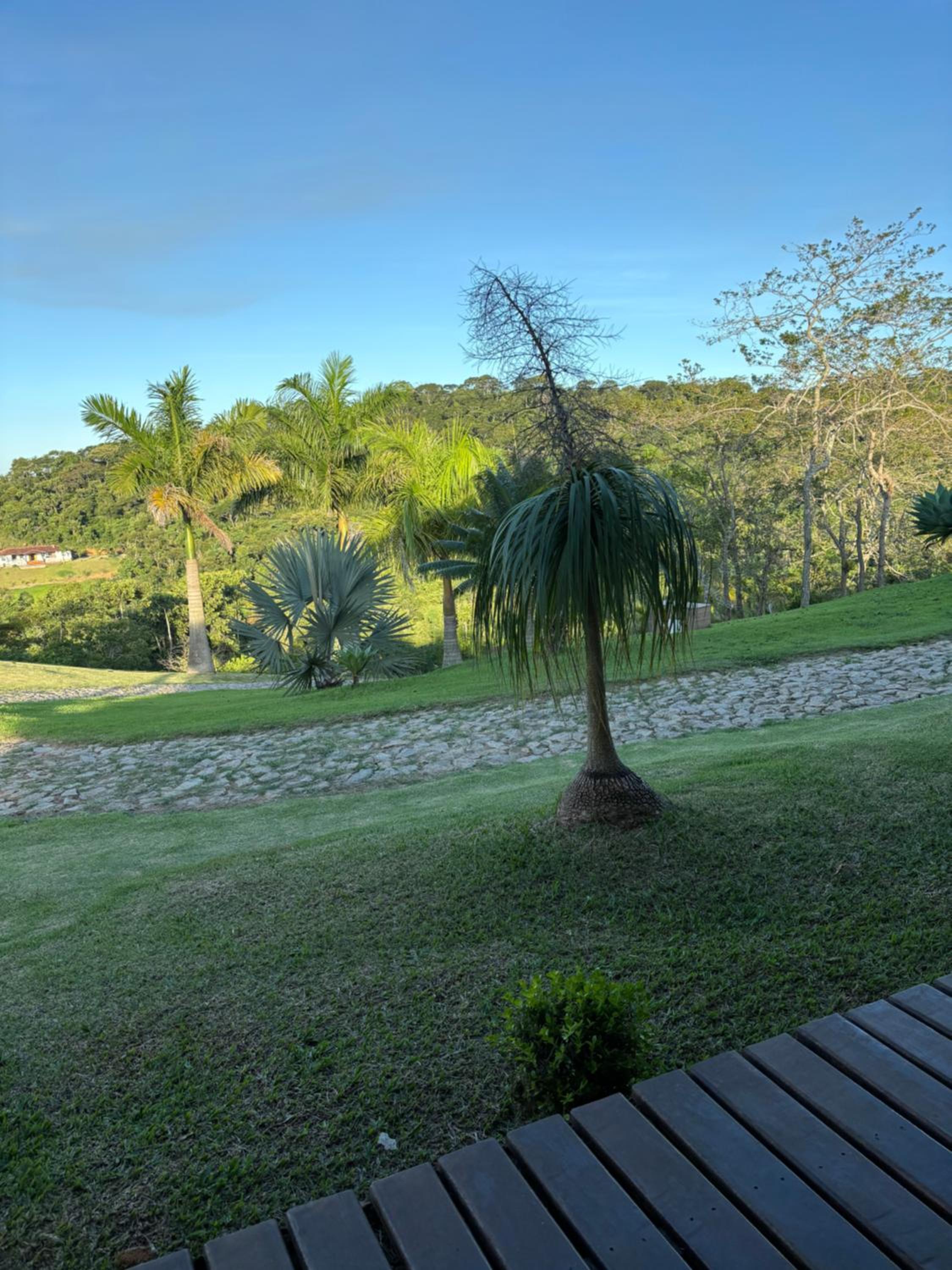 Espaço da Reserva