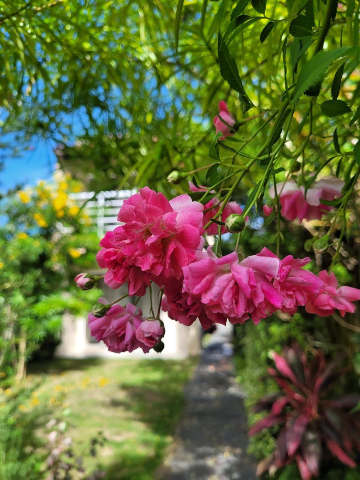 Photo 25