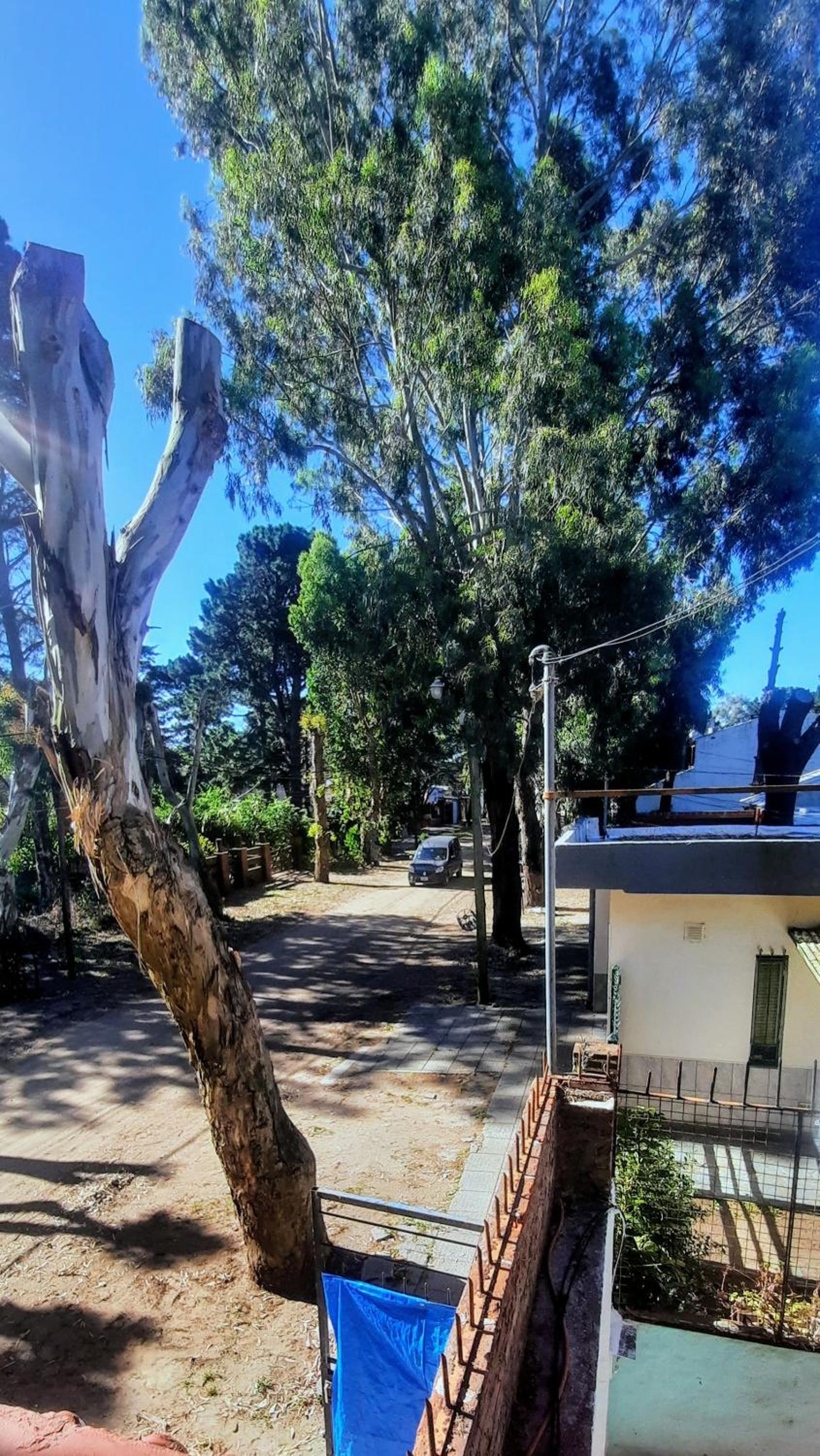 san bernardo tu lugar