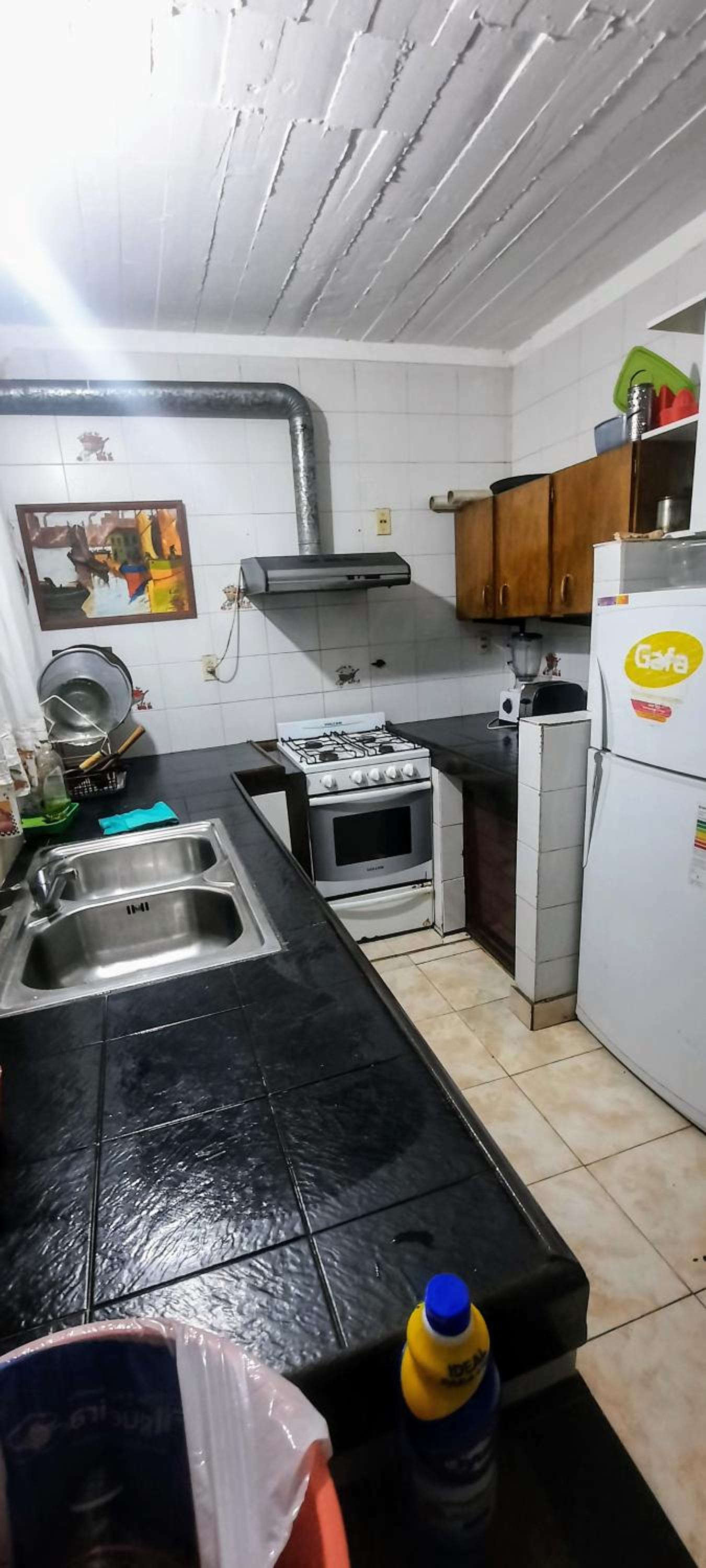 san bernardo tu lugar