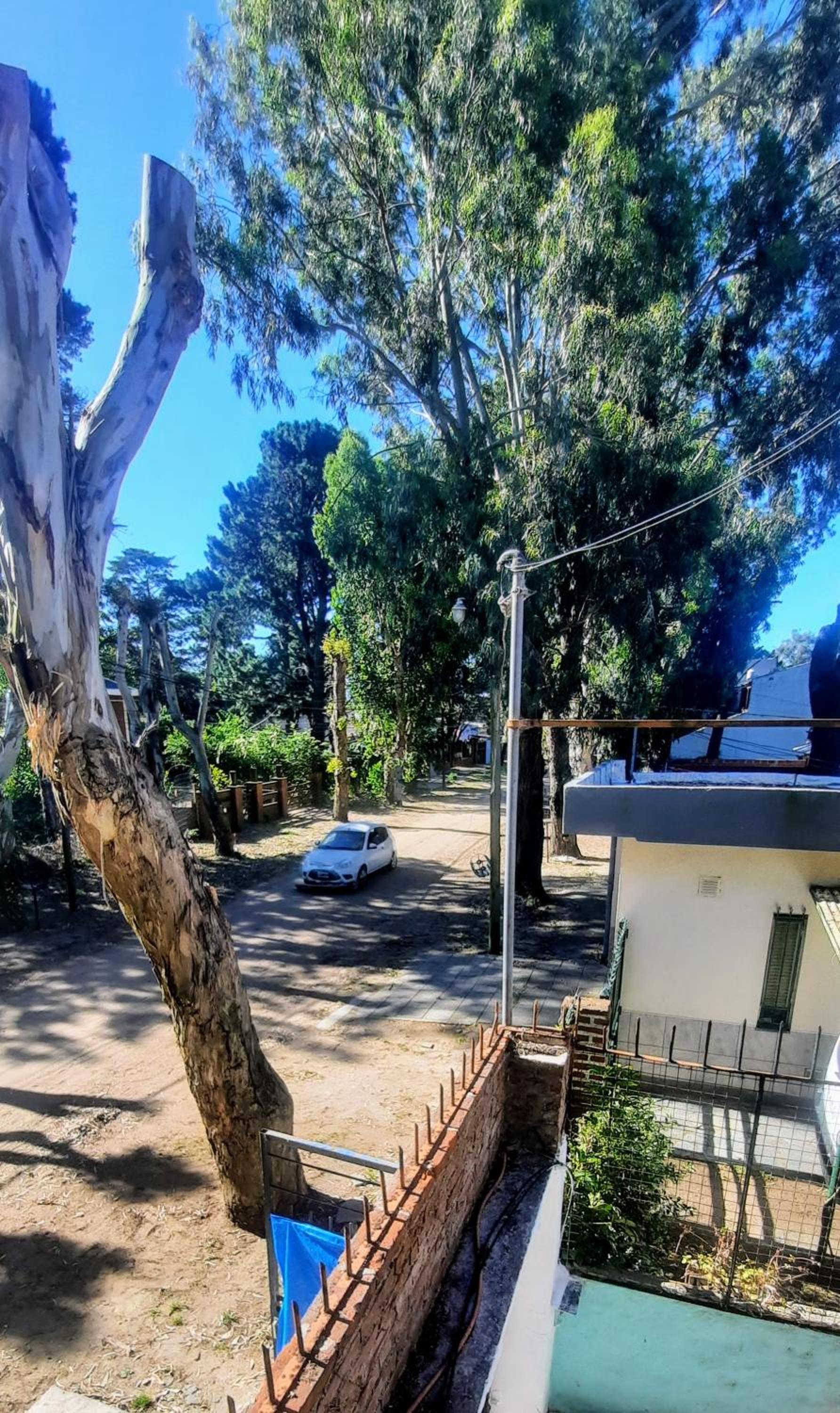 san bernardo tu lugar