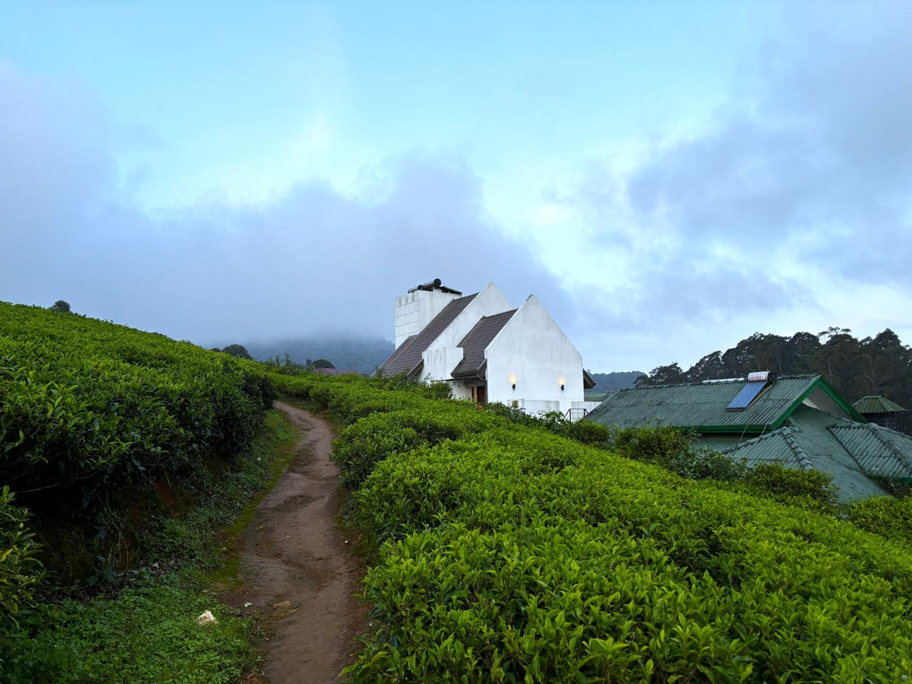 Wintry Hills-Nuwara Eliya view 2