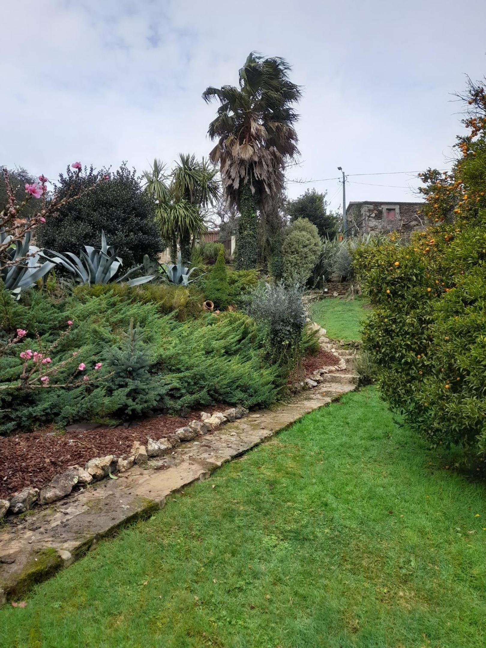 Elegant Villa near Caminha with Private Pool view 5