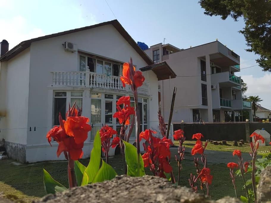 Holiday Cottage in Ureki, Georgia view 3