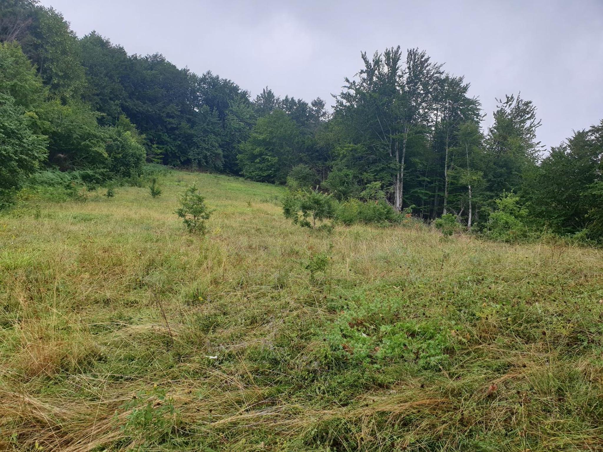 Seoska kuća na selu Andželate - Andrijevica photo 3