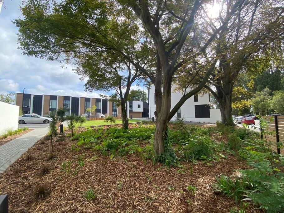 Modern Central Living