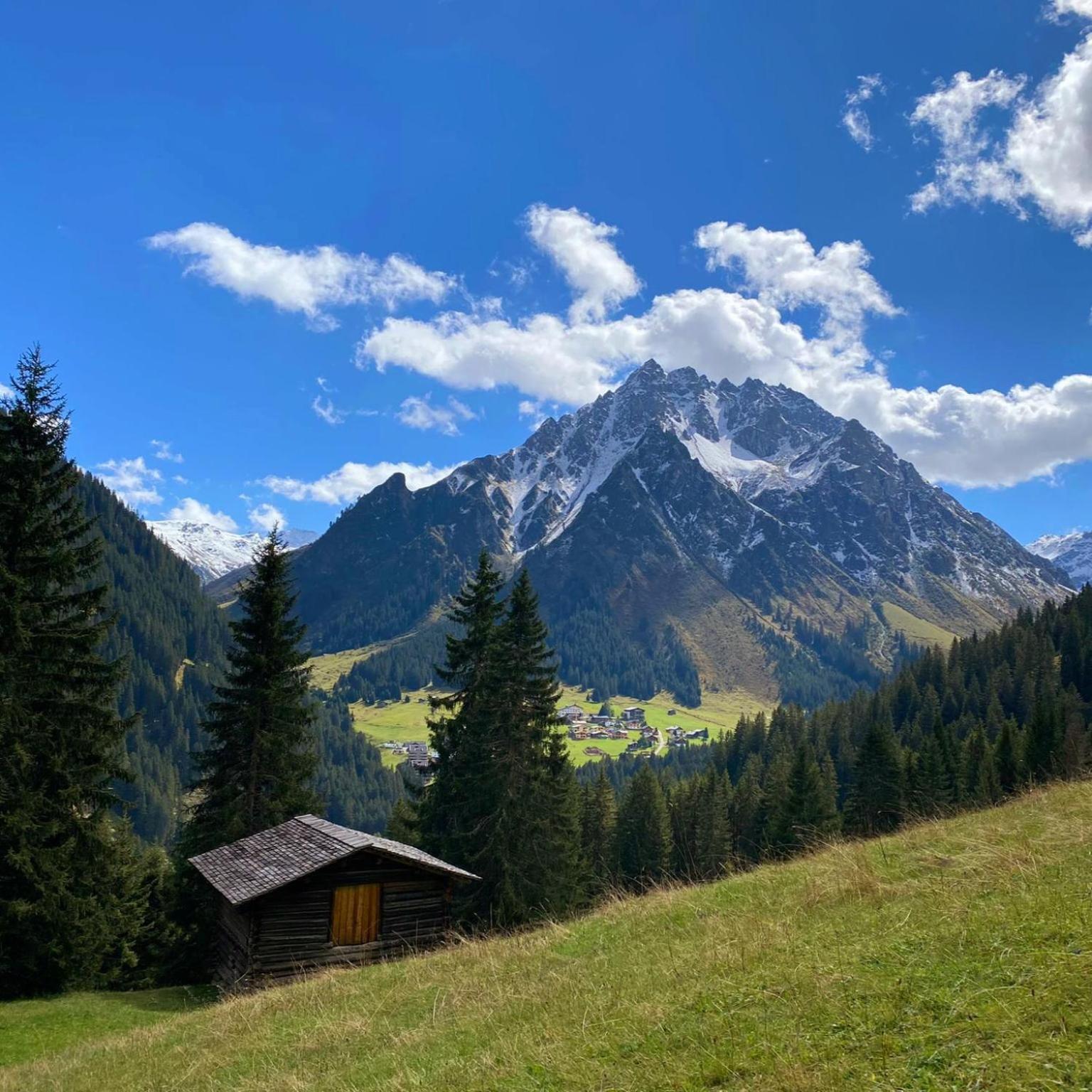 Gasthof-Pension Wulfenia