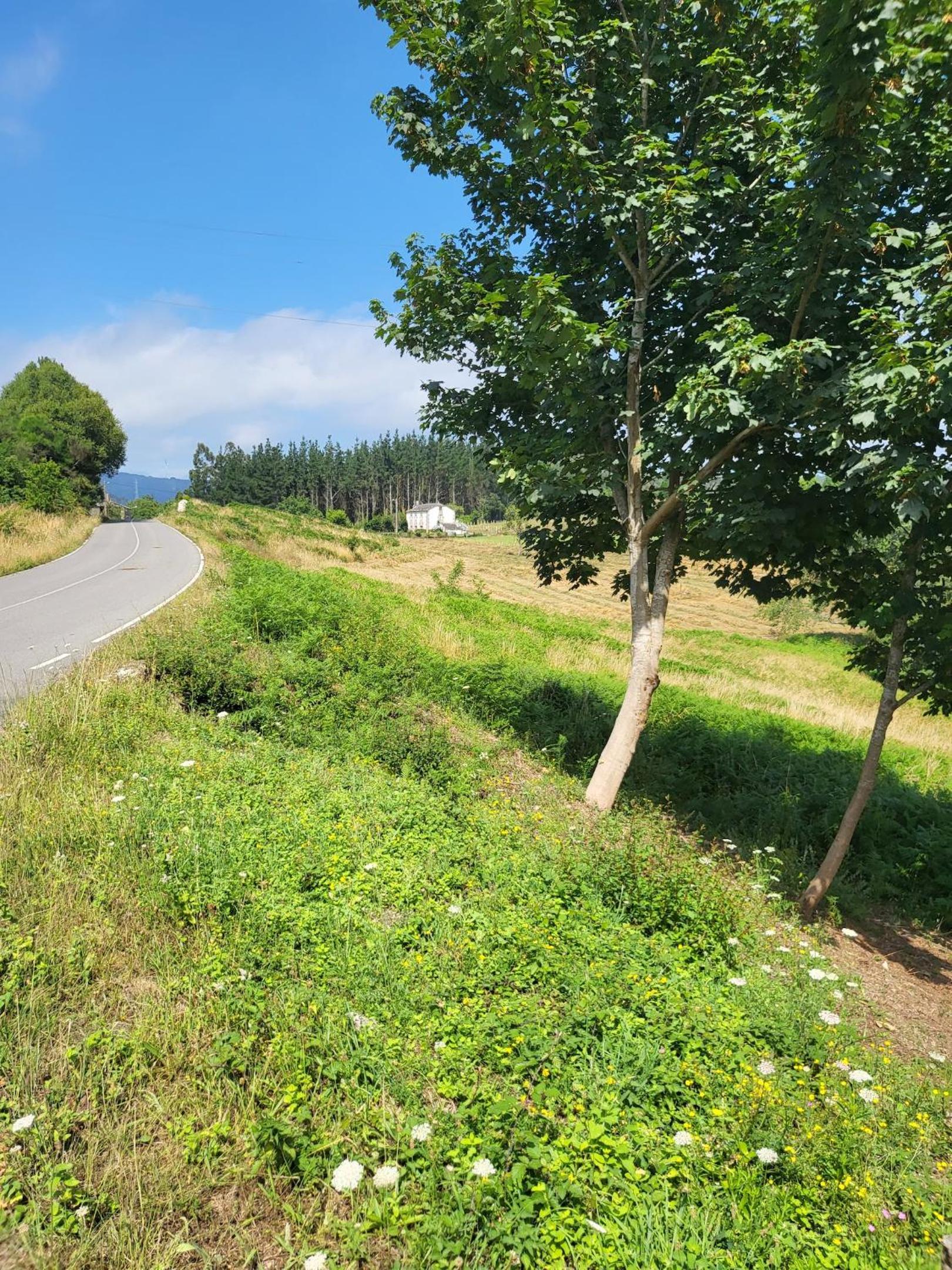 Charming house in Ourol with mountain view, large garden.