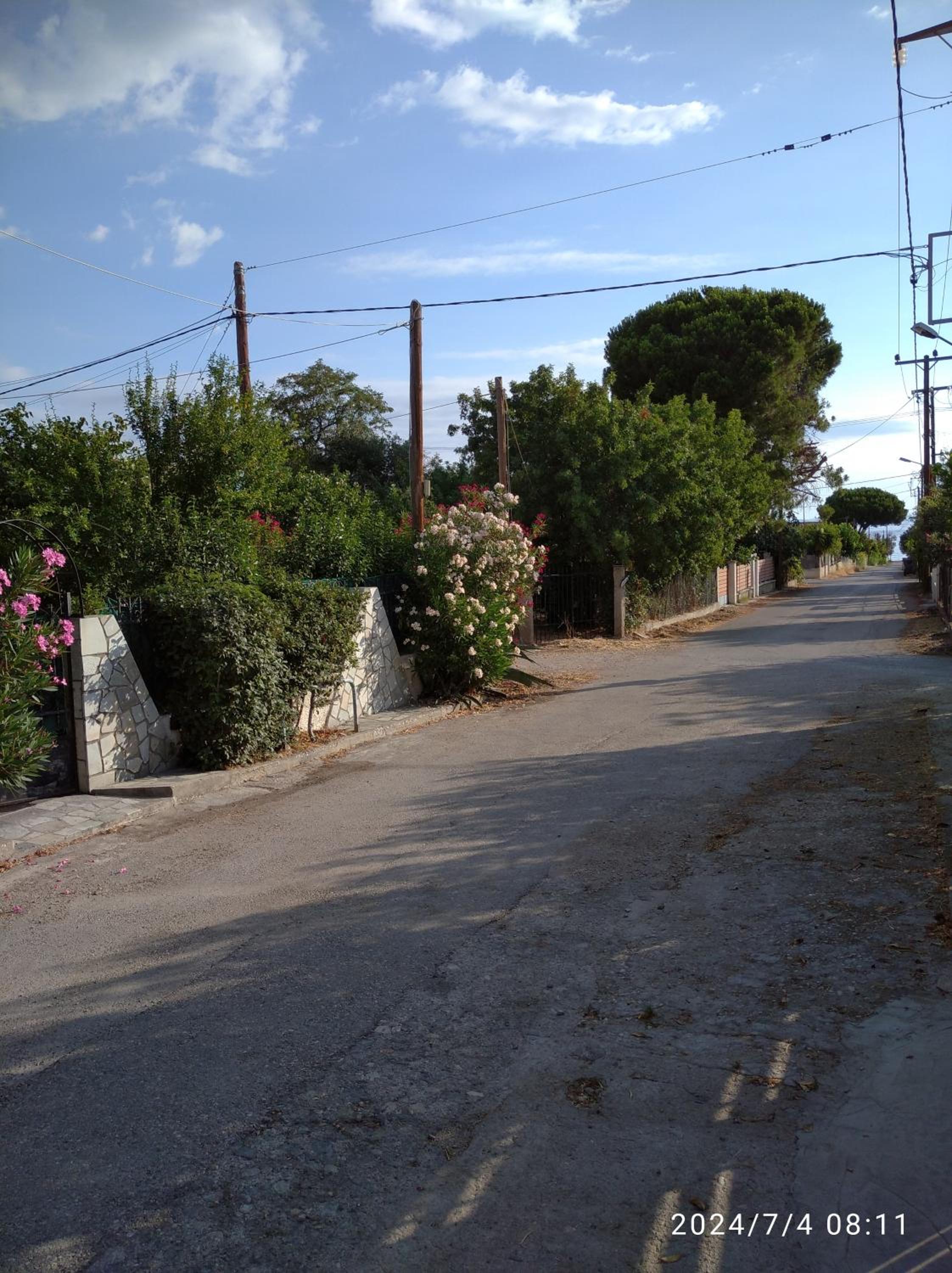 Photo 33