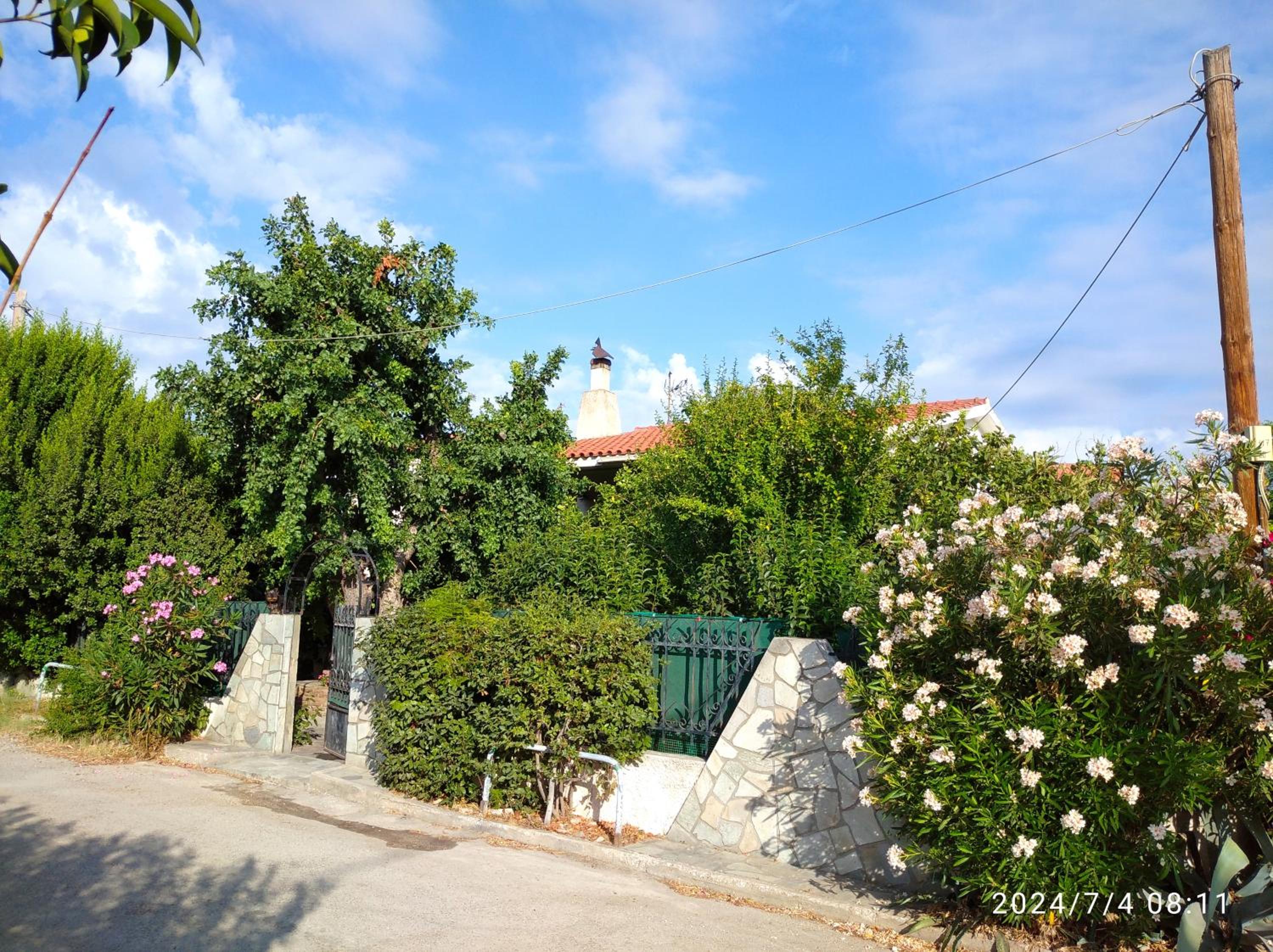 Photo 37