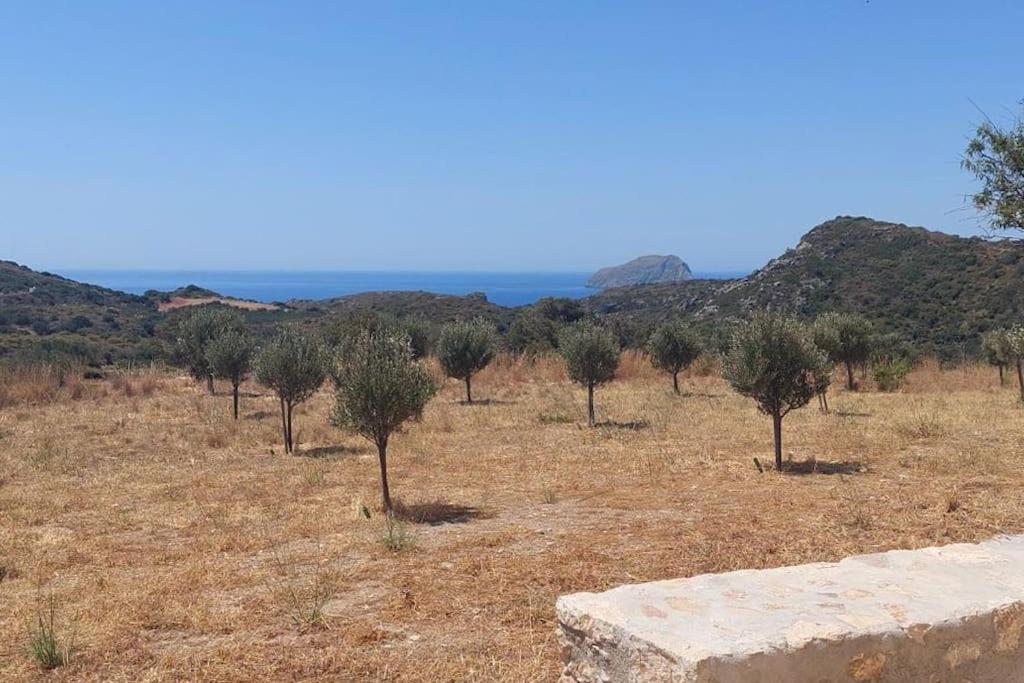 Traditional house in Kalamos