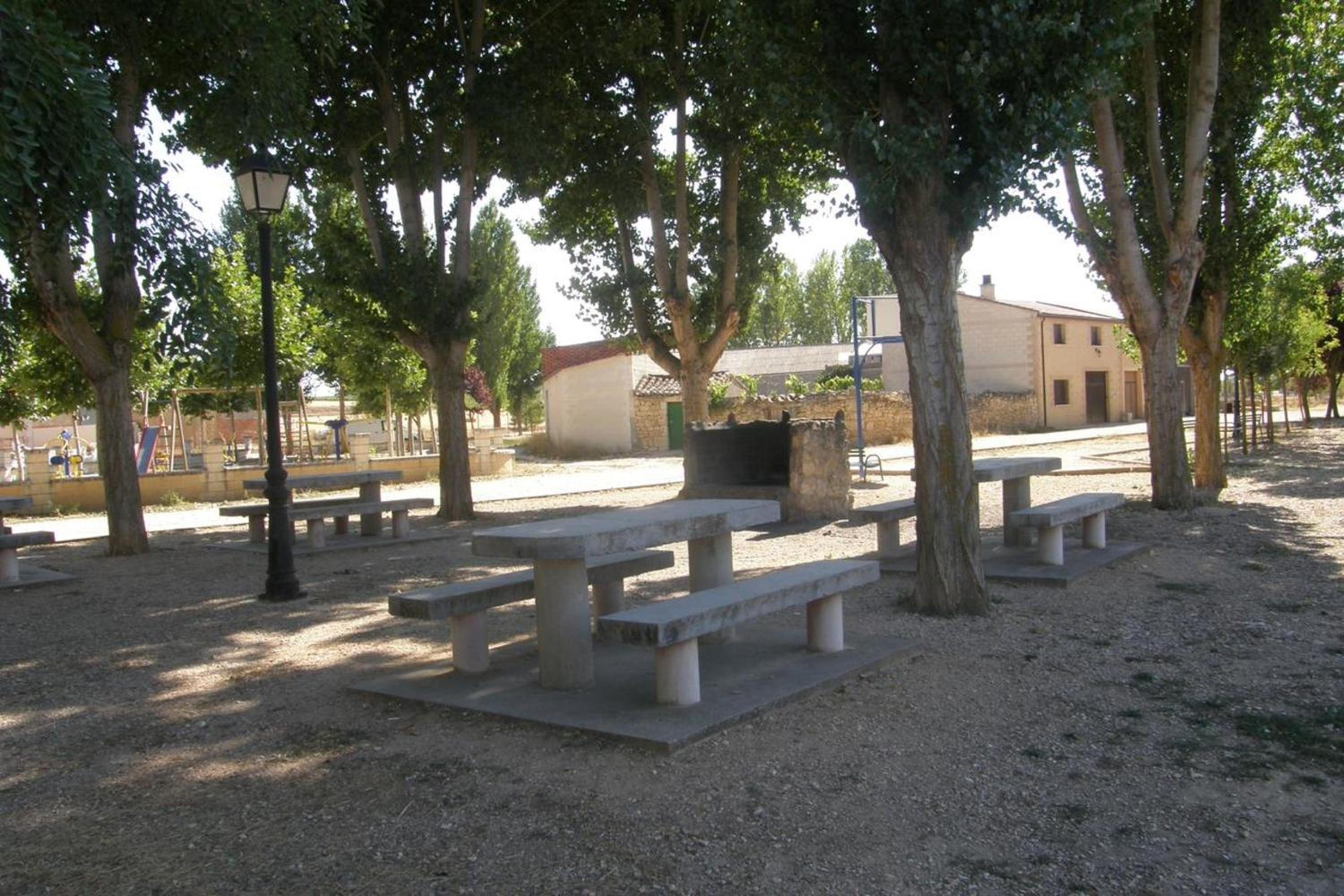 Photo 12