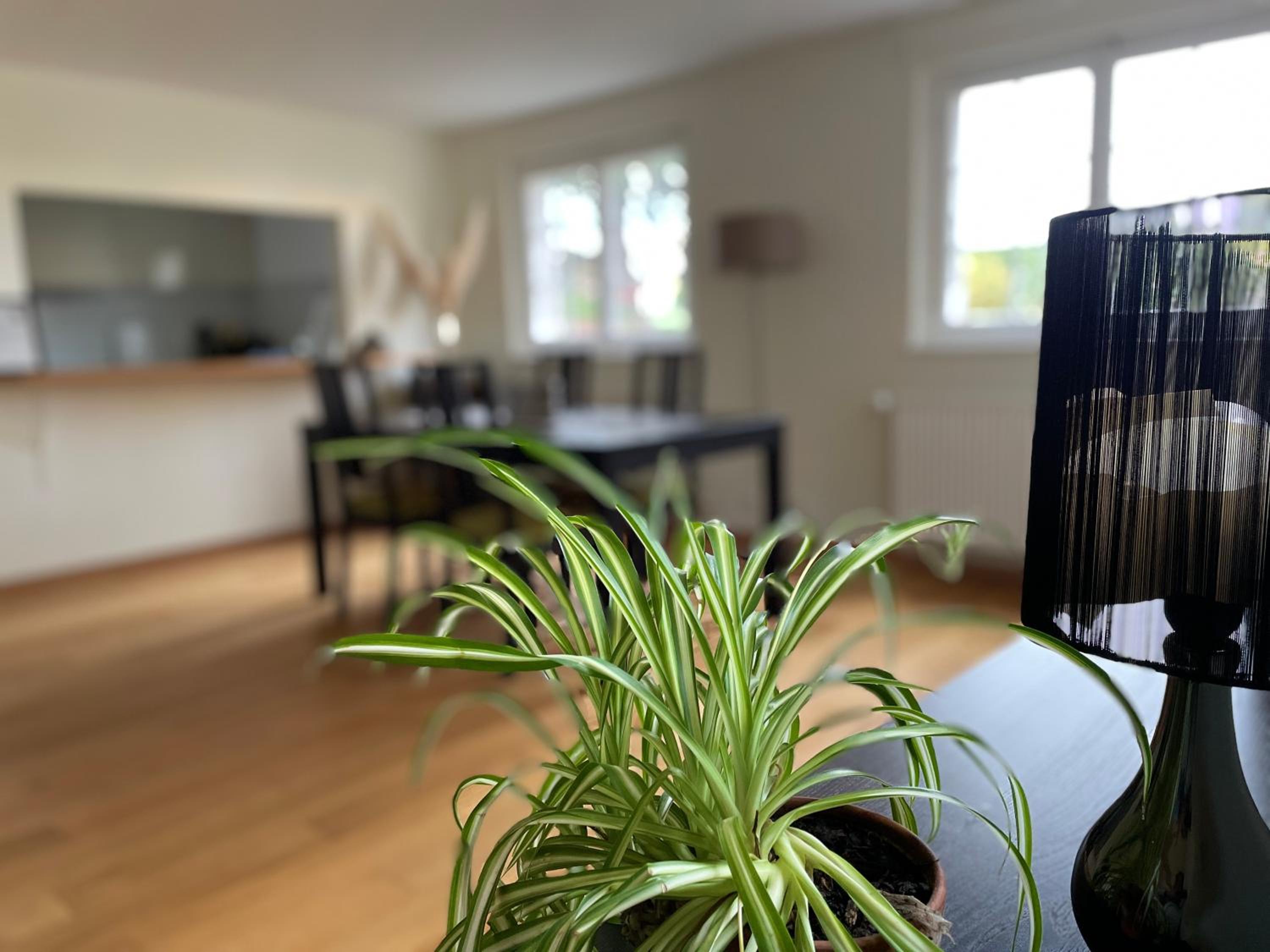 Appartement spacieux proche de Morges et Lausanne