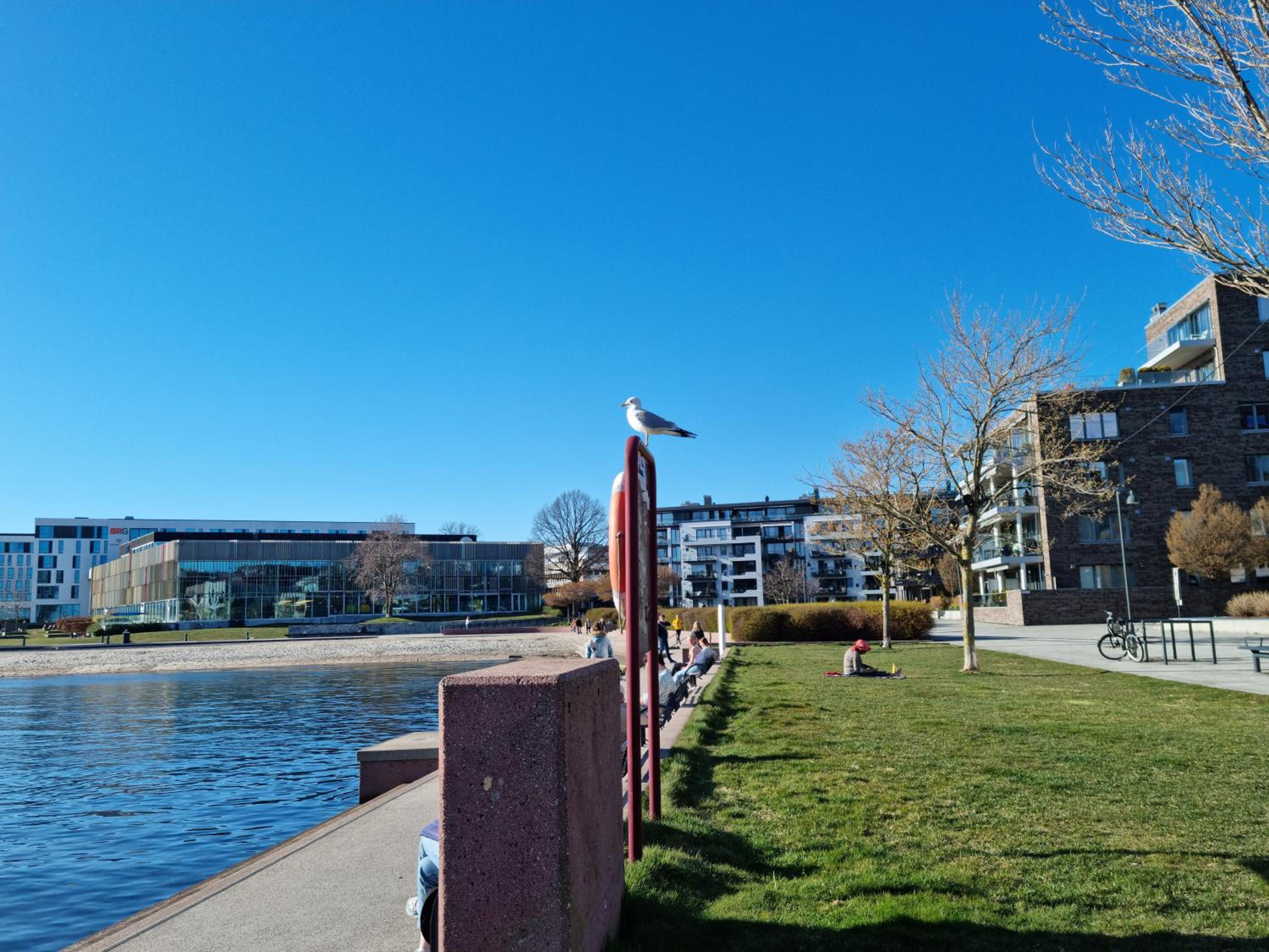 Leilighet på Bystranda Tangen