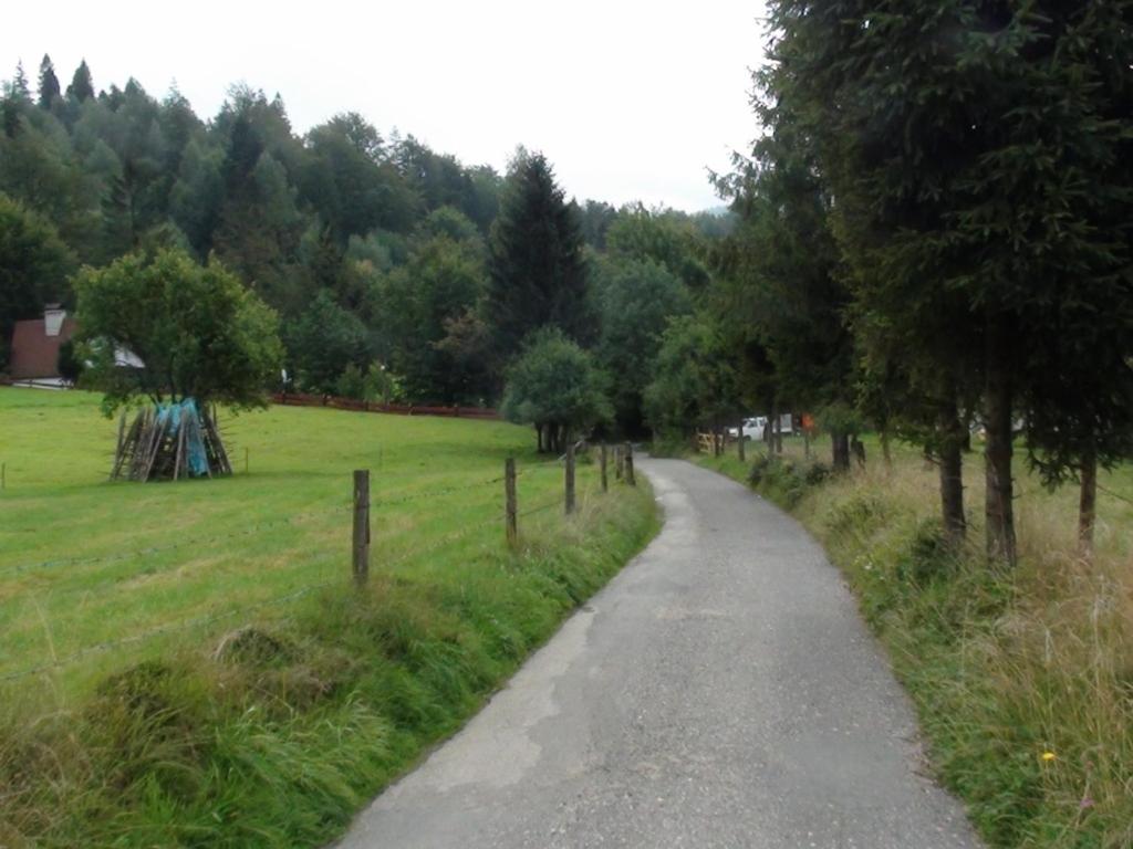 Photo 36