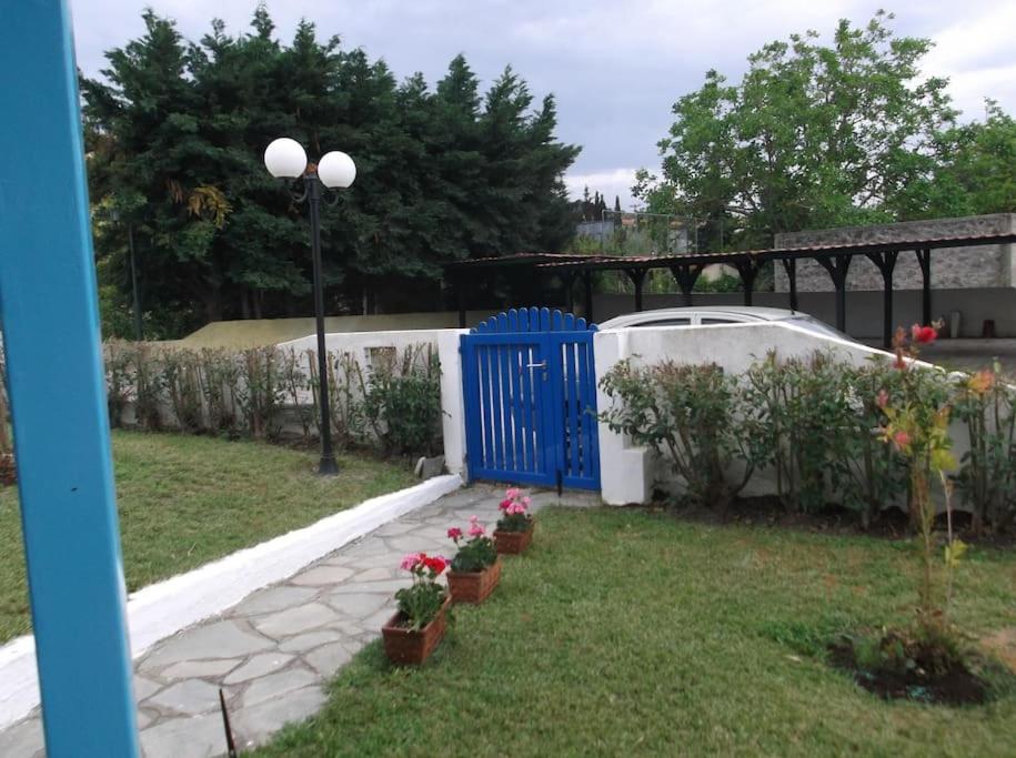 Blue house