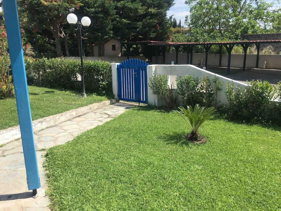 Blue house