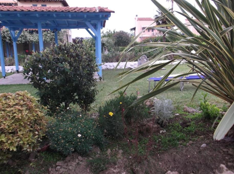 Blue house