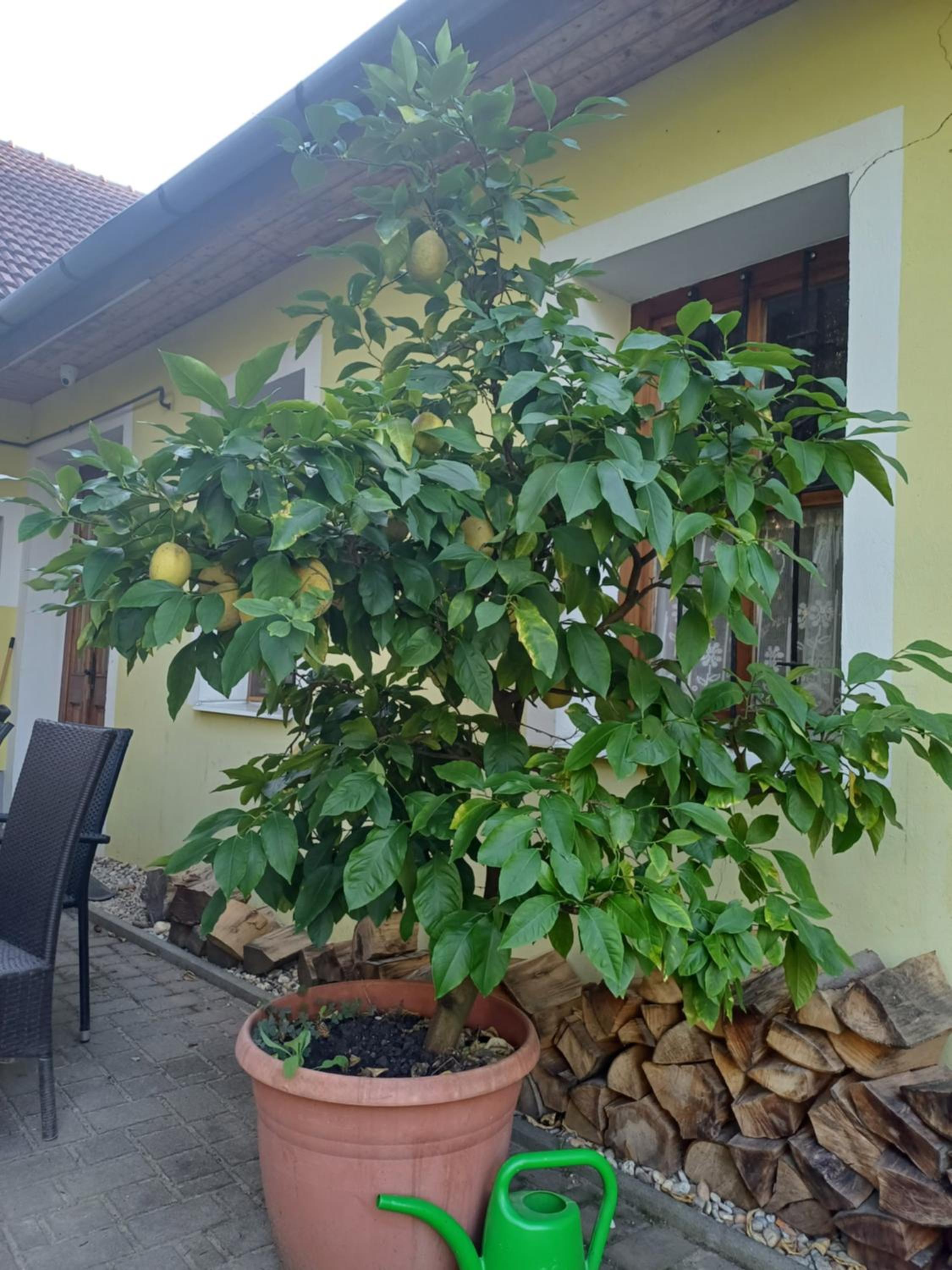 Zanati Apartmannház