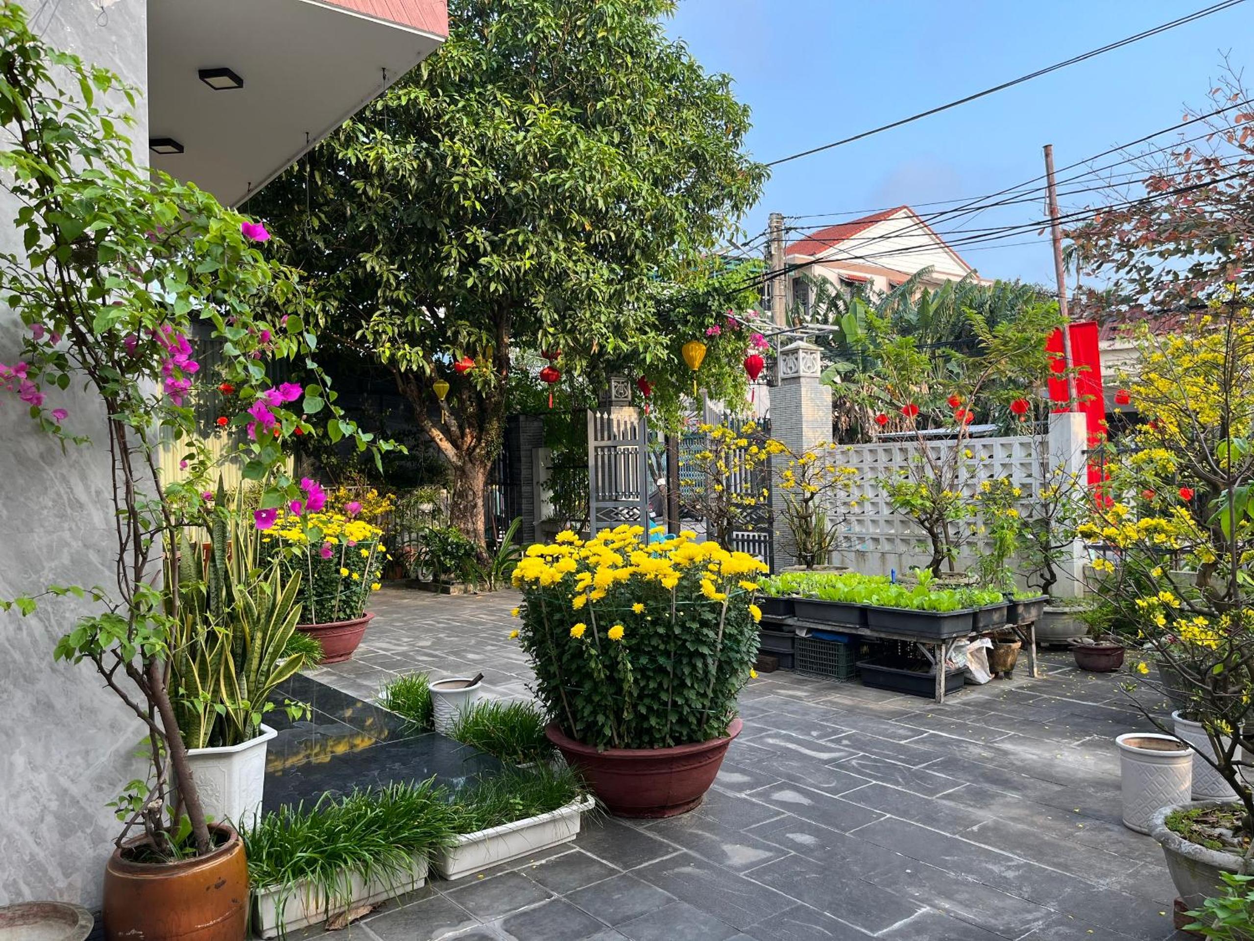 Homestay Phương House