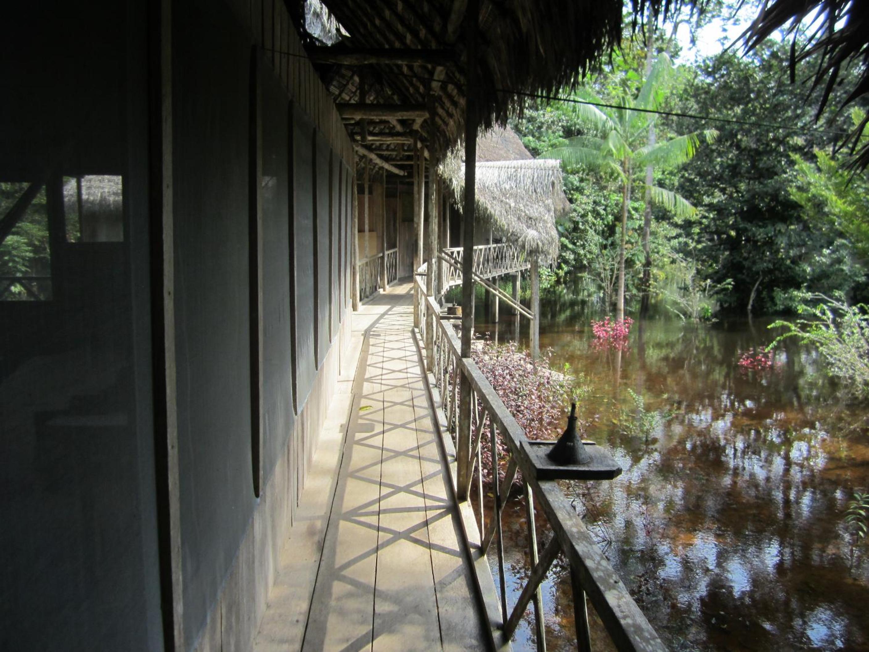 Photo 20
