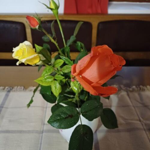 Zanati Apartmannház