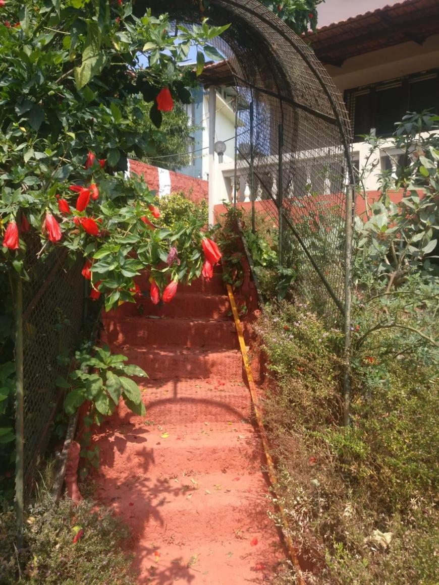 Photo 26