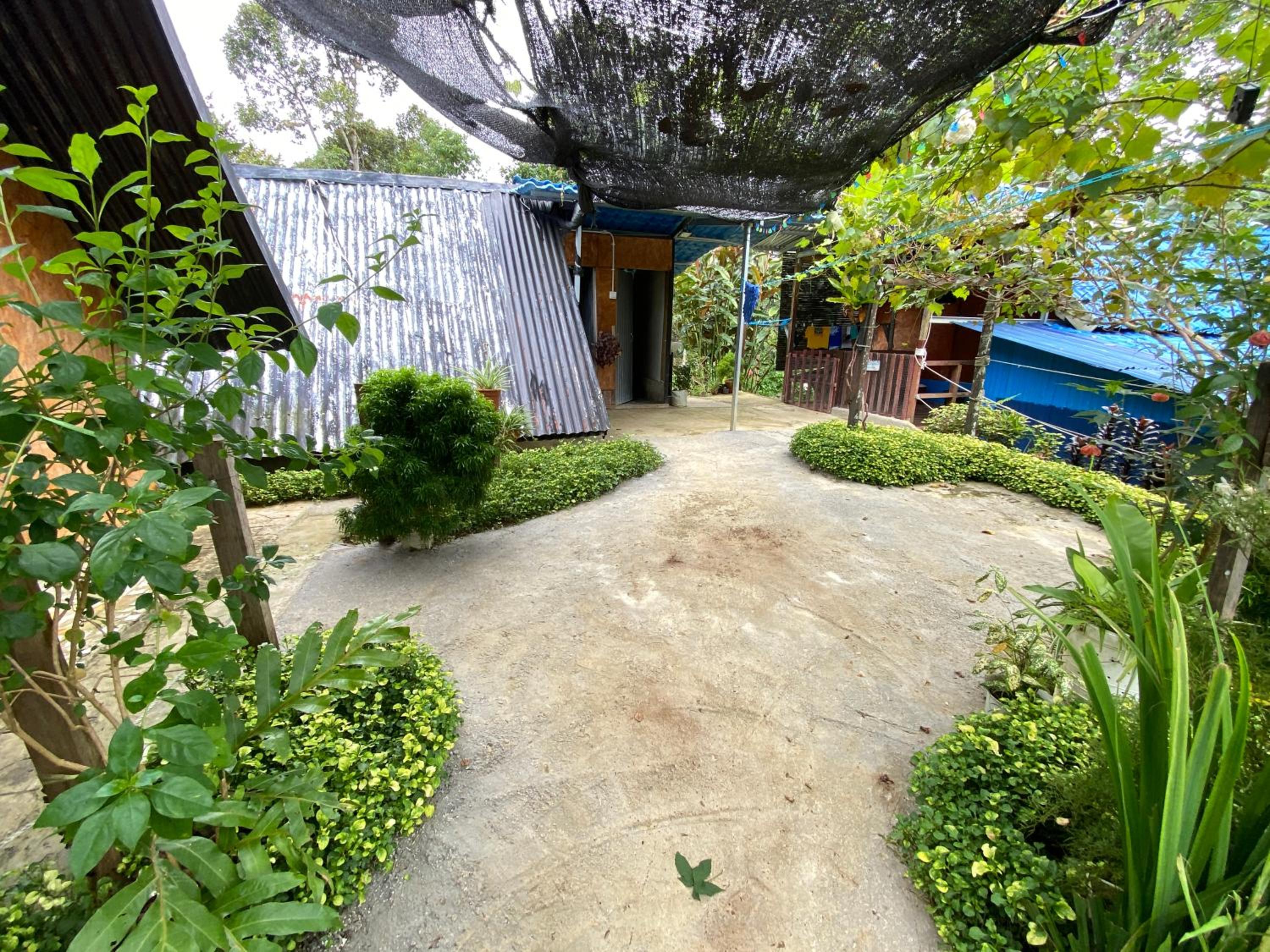 Photo 14