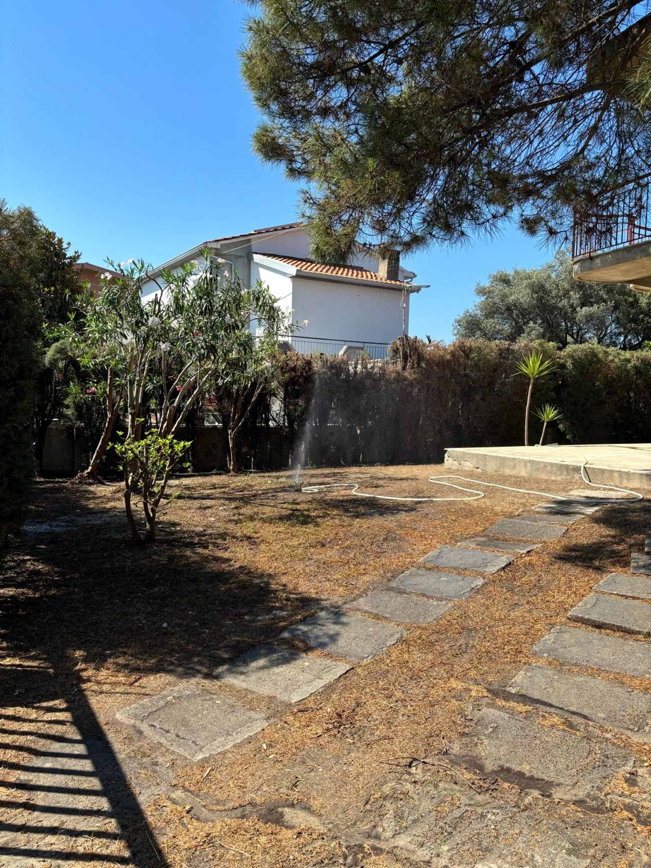 Photo 38