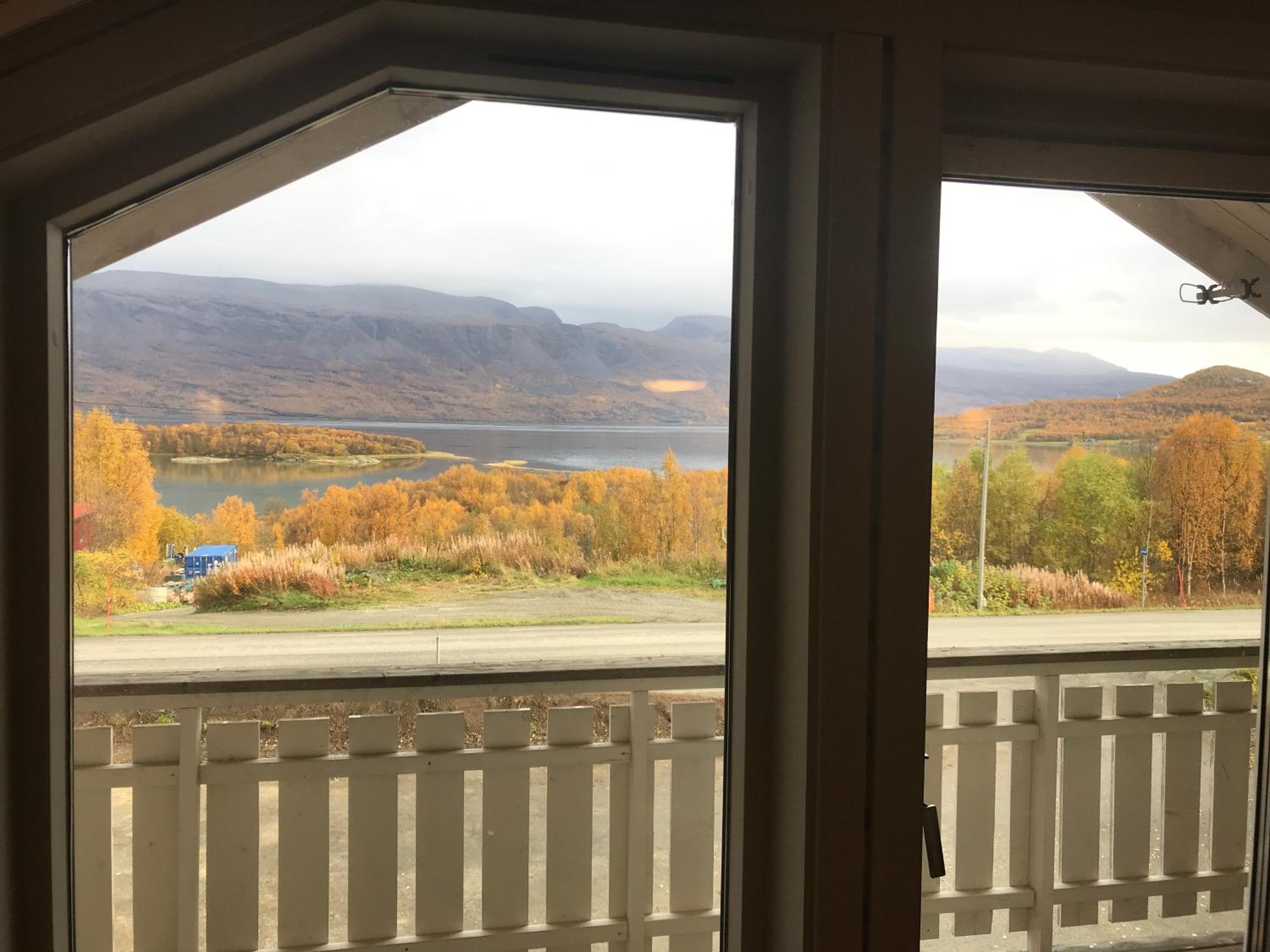 Lyngen