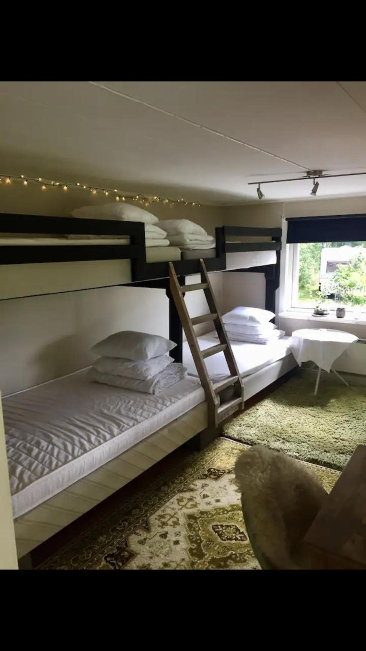 Cosy cabin with bbqhut view 5