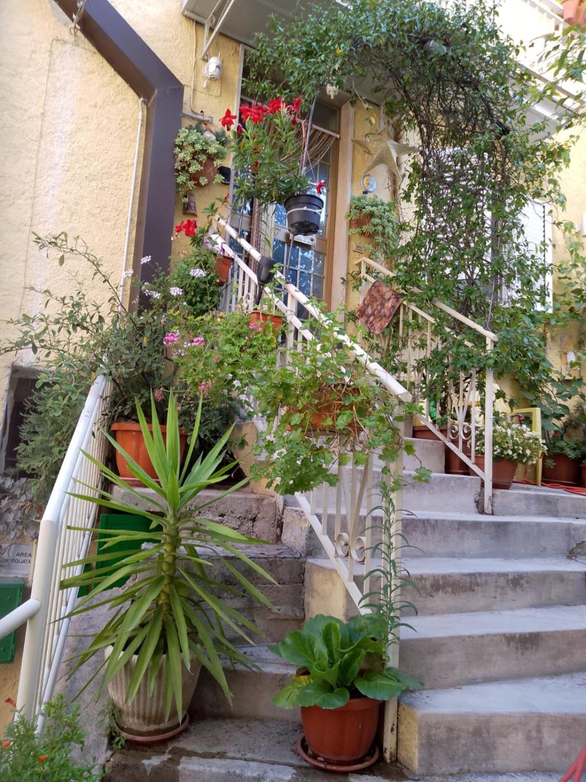 Villa Carolina