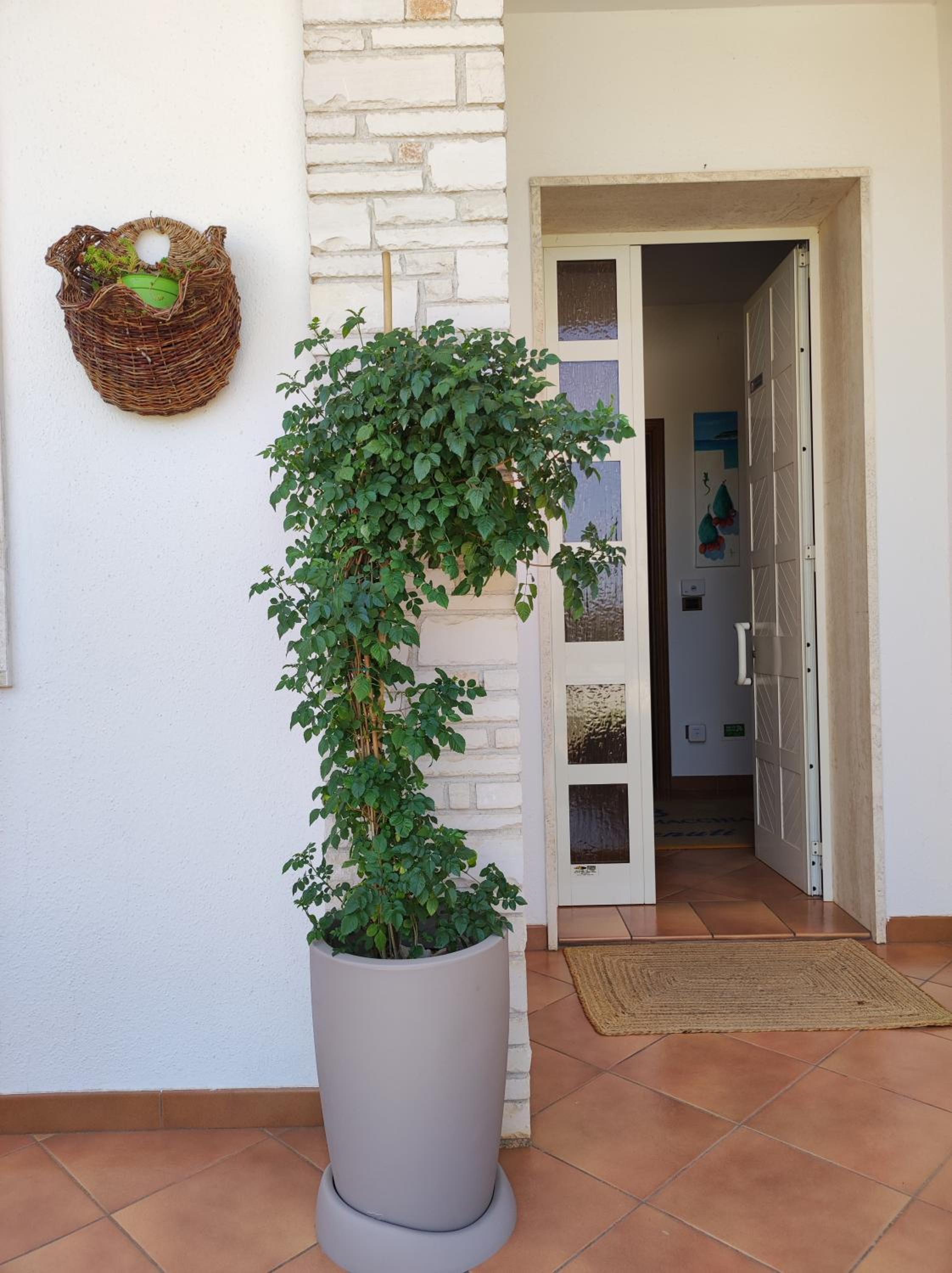 Contrada Macchia B&B