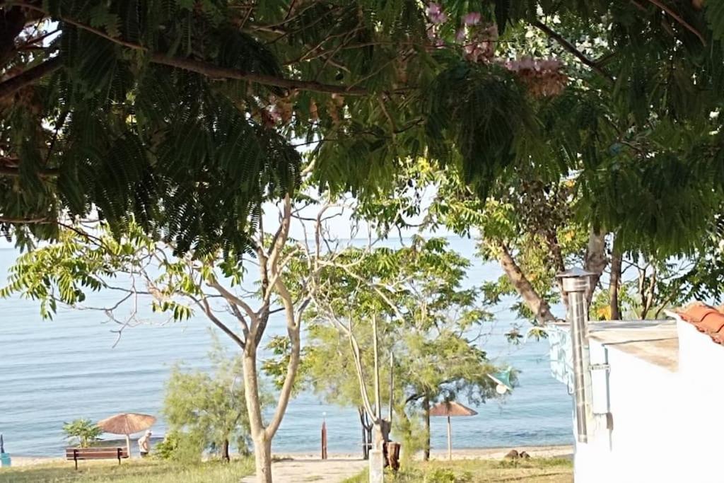 Pomegranate Seaside Corner