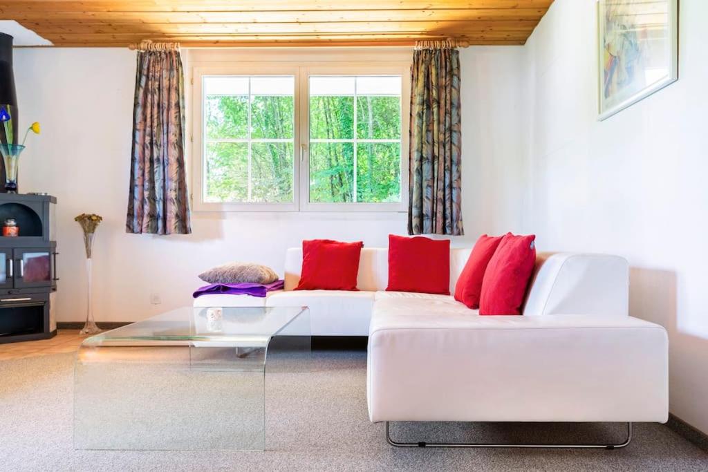 Eco-friendly guest house near ZH