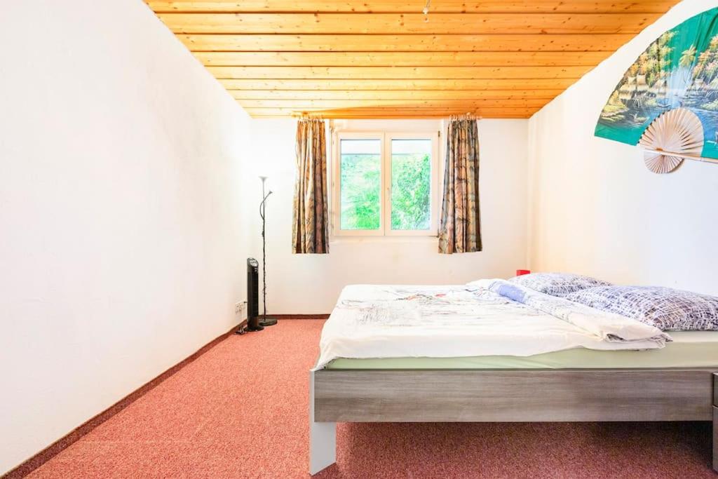 Eco-friendly guest house near ZH