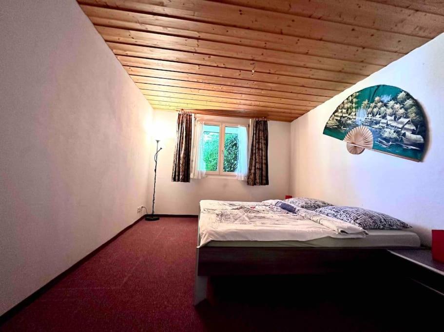 Eco-friendly guest house near ZH