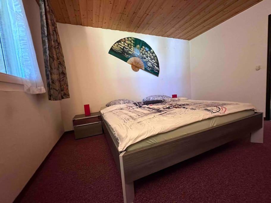 Eco-friendly guest house near ZH