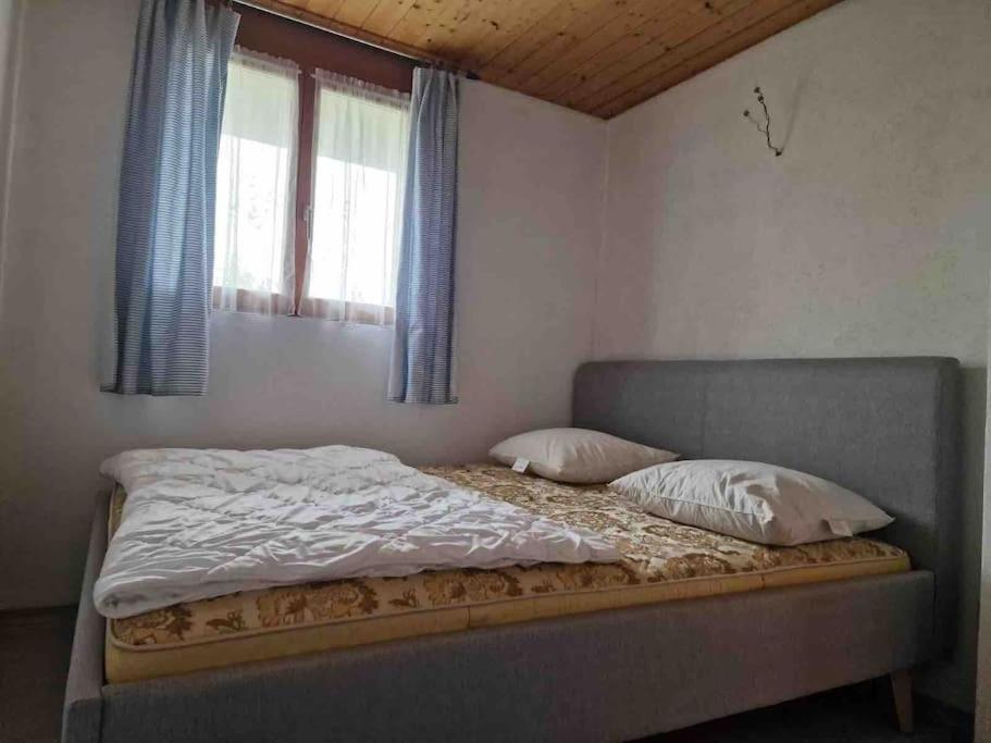 Eco-friendly guest house near ZH