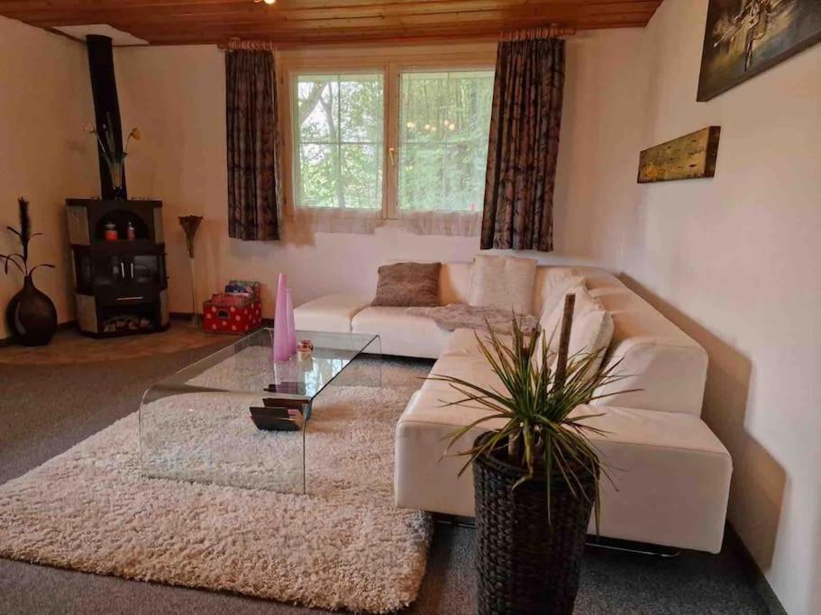 Eco-friendly guest house near ZH