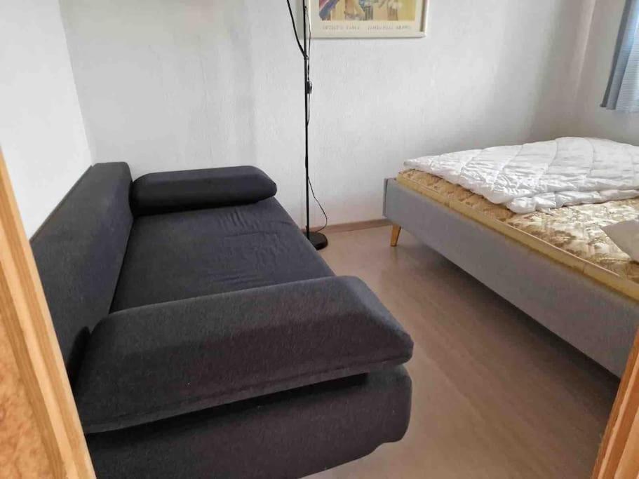 Eco-friendly guest house near ZH