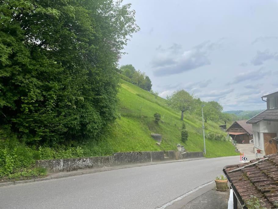 Eco-friendly guest house near ZH