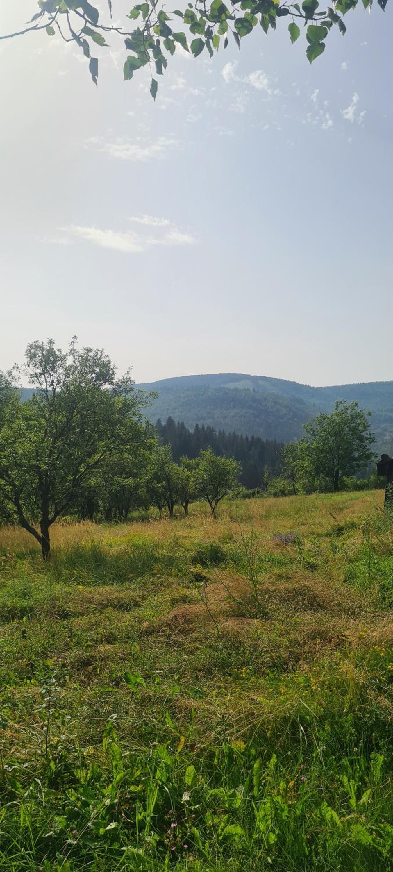 Babina djeca