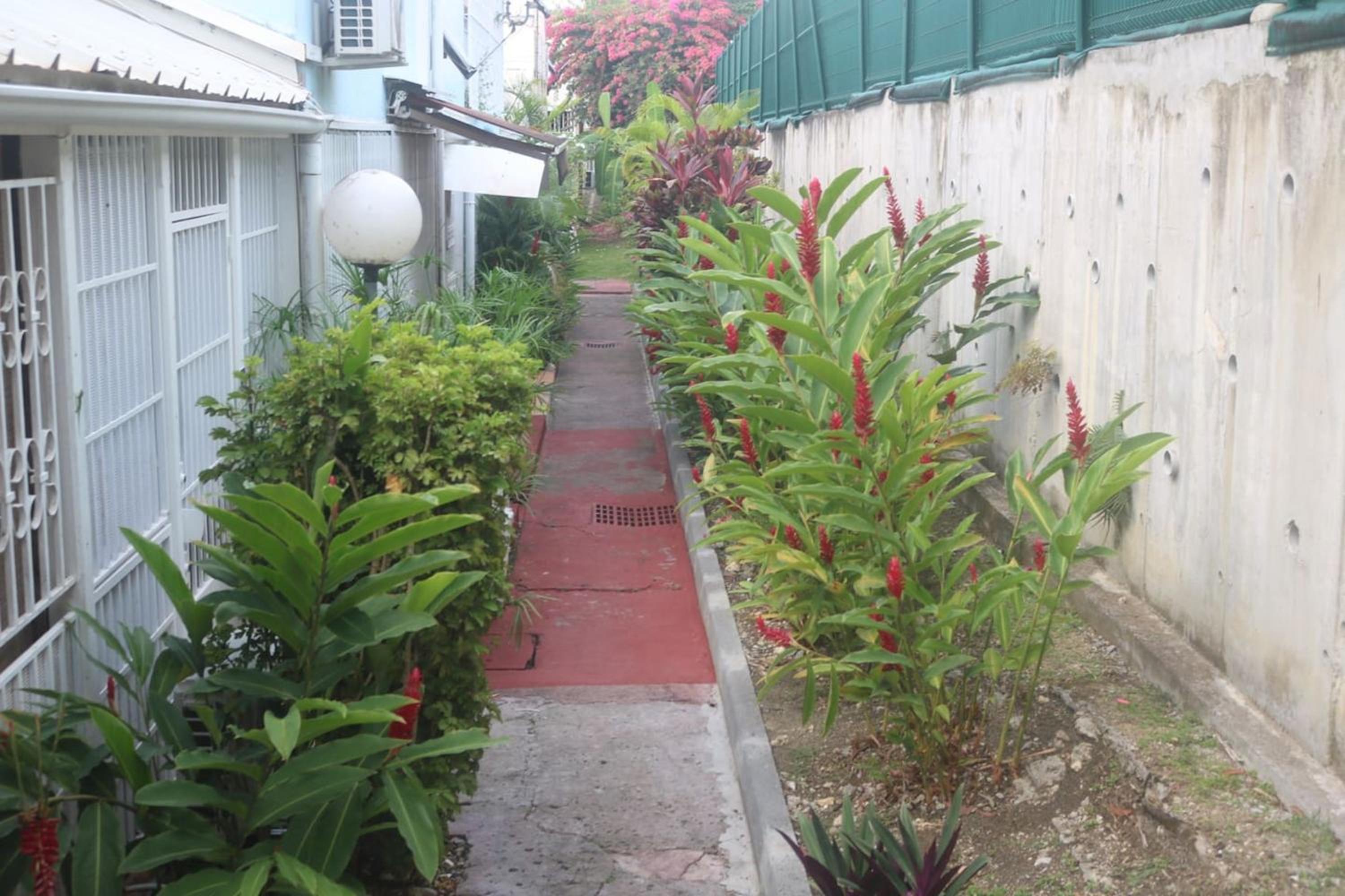 Photo 26
