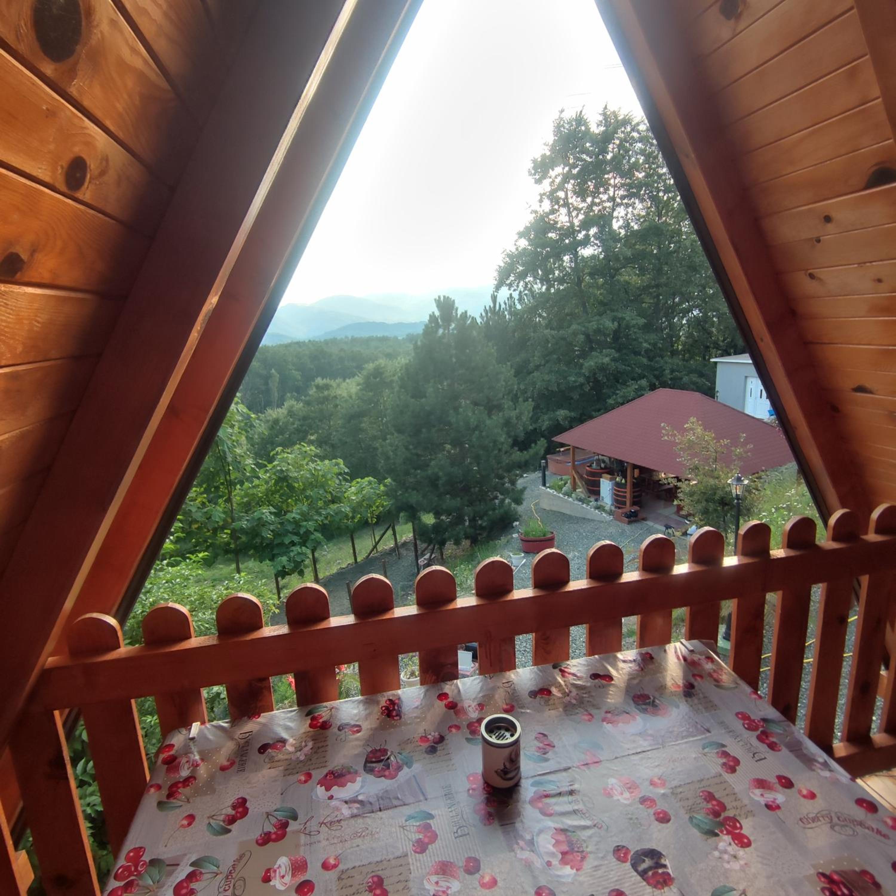 Seoski Turizam Feniks apartman Davidovi Psalmi