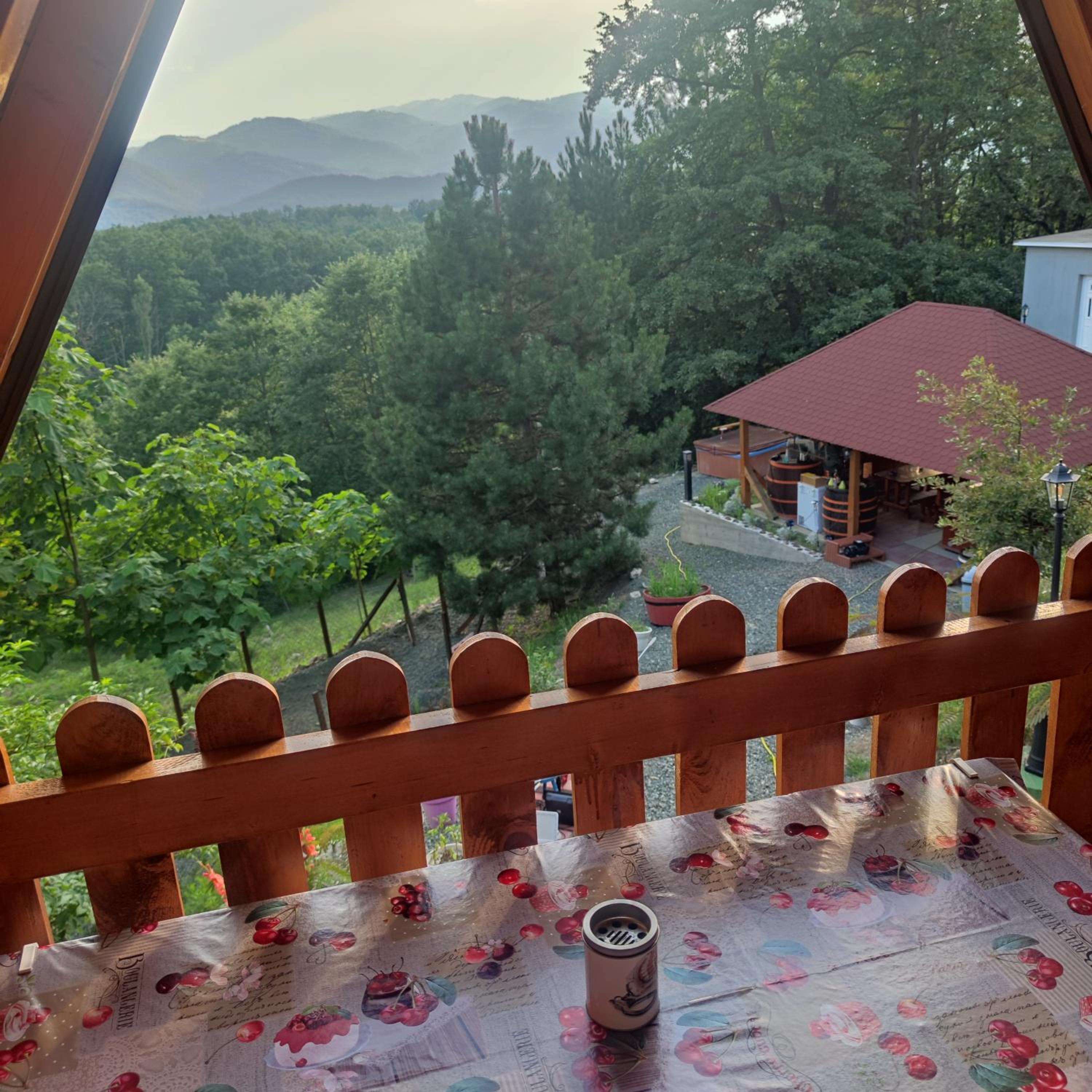 Seoski Turizam Feniks apartman Davidovi Psalmi